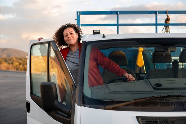 freepik__adjust__22809 LR Licences Sunshine Coast, The Driving School